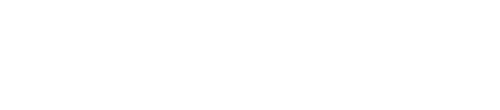 Bellmann Academy